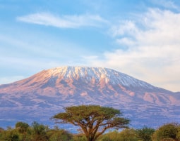 Kilimanjaro Investment Strategy by CARL